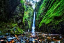 Waterfall in Oneonta Gorge, Oregon